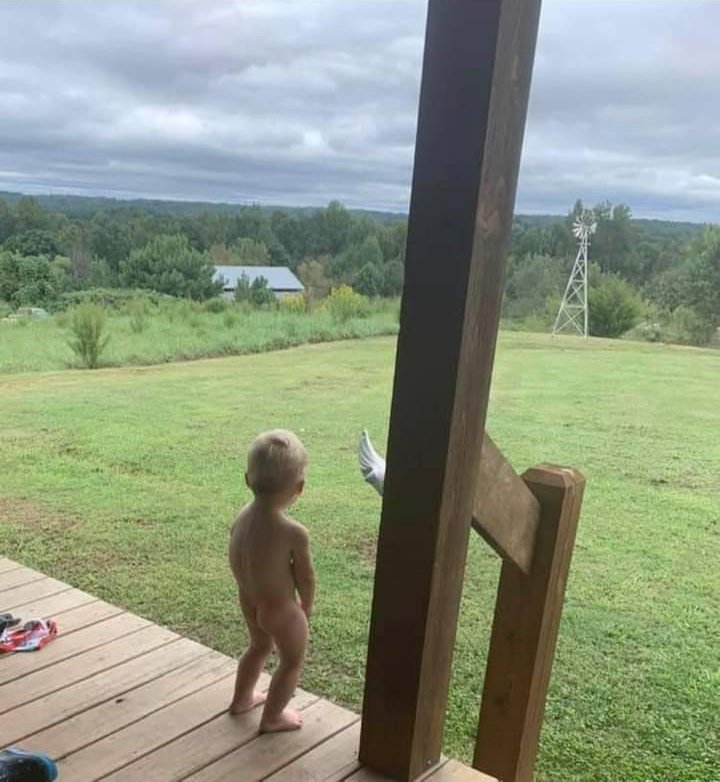 Duane S. tweet media