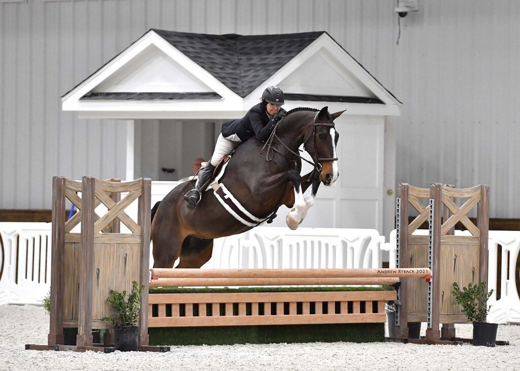 Just in from Ocala! Hidden Hill Farm's Alpine's Ozcar at his first Big Boy show. 2014 16.3h Westphalian Gelding. Trials available at WEC through tomorrow, 2 others also in attendance. Reach out at j.mp/Hidden-Hill