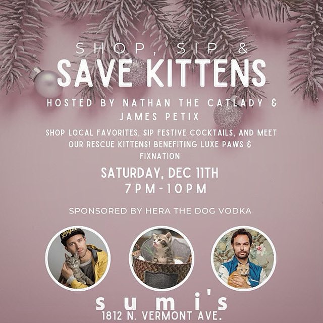 Luxe Paws tweet media