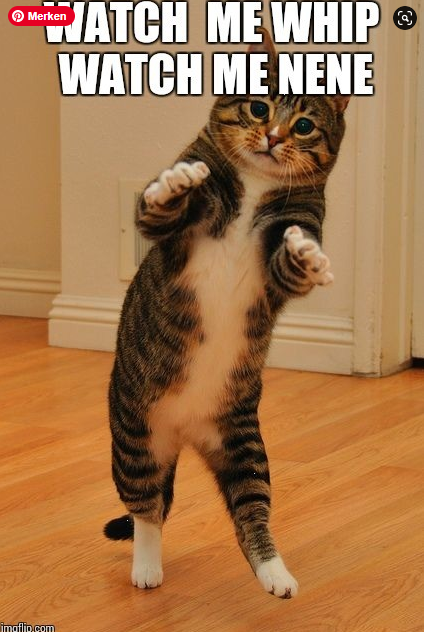 Marion Friedl #ForUkraine #Boostered #PostVac (@marillion13) on Twitter photo 