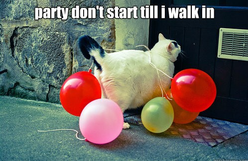 Marion Friedl #ForUkraine #Boostered #PostVac (@marillion13) on Twitter photo 