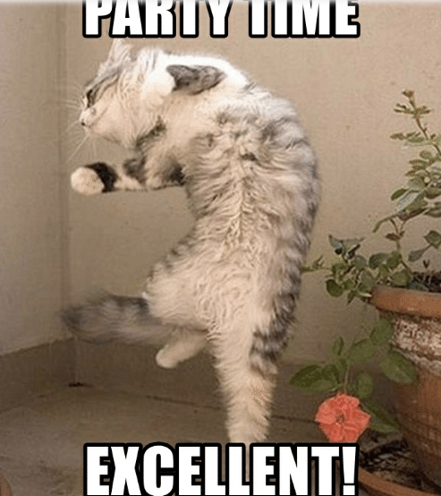 Marion Friedl #ForUkraine #Boostered #PostVac (@marillion13) on Twitter photo 