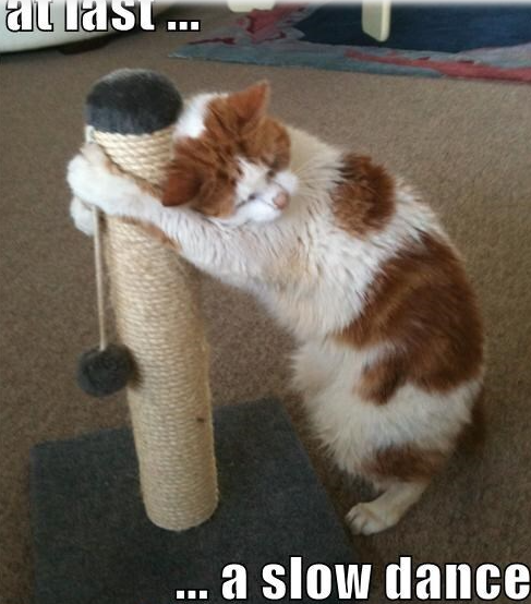 Marion Friedl #ForUkraine #Boostered #PostVac (@marillion13) on Twitter photo 