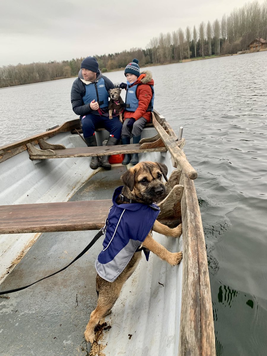 Just two borders on a boat #mytwogirls and #mytwoboys <a href="/LogHouseHoliday/">Log House Holidays</a> <a href="/BTposse/">Border Terrier Posse</a> #Outdoors #lake #loghouse #Peace #calm #familytime #boat <a href="/Woody7612/">Dave Woodvine</a> If you’ve never been before, seriously check this place out 😍