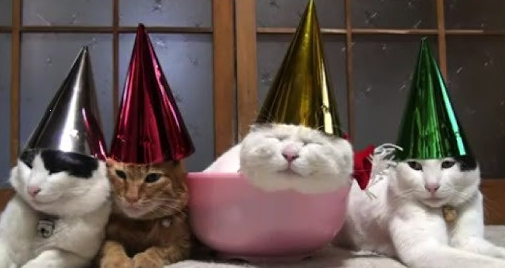 Marion Friedl #ForUkraine #Boostered #PostVac (@marillion13) on Twitter photo 