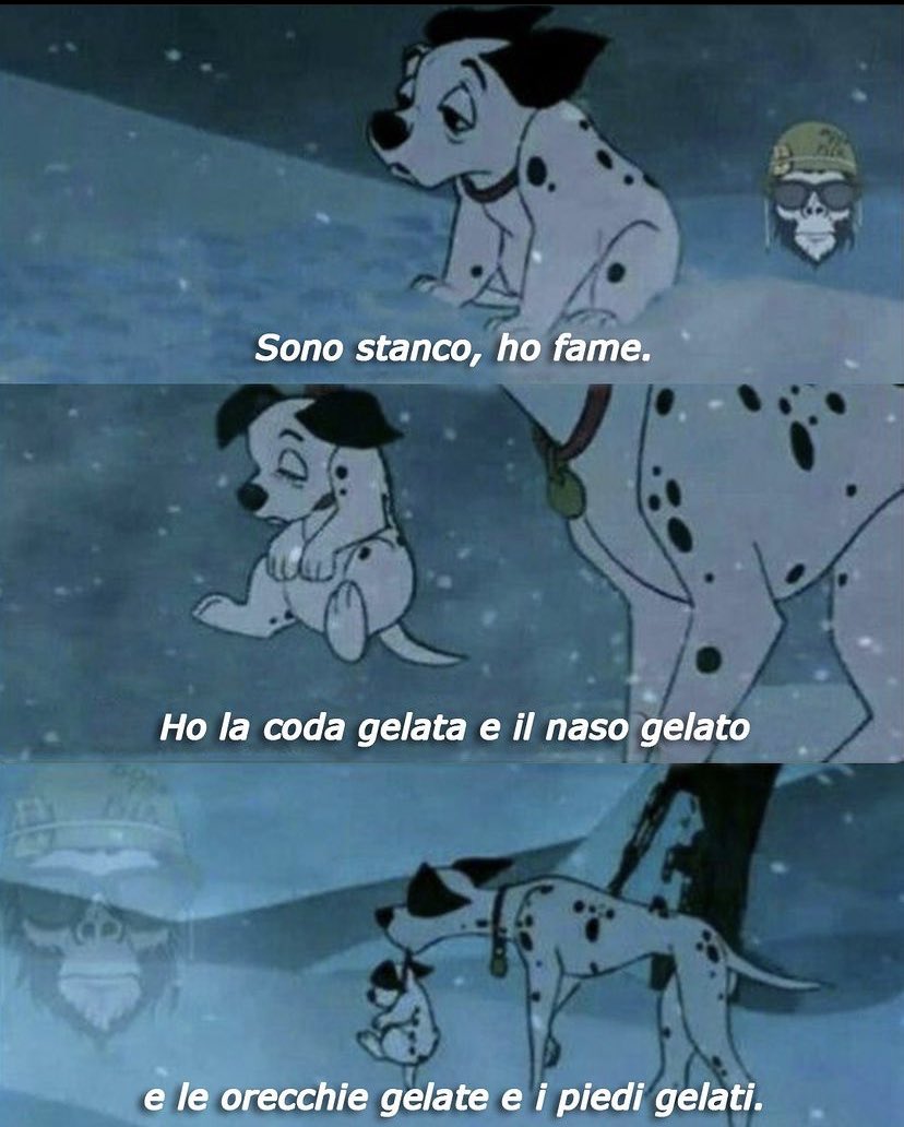 mrbll25's tweet photo. Io d’inverno appena metto piede fuori di casa: https://t.co/1OqRcoqelN