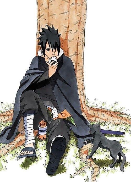comfort for sasuke stans (@comfortsasuke) on Twitter photo 