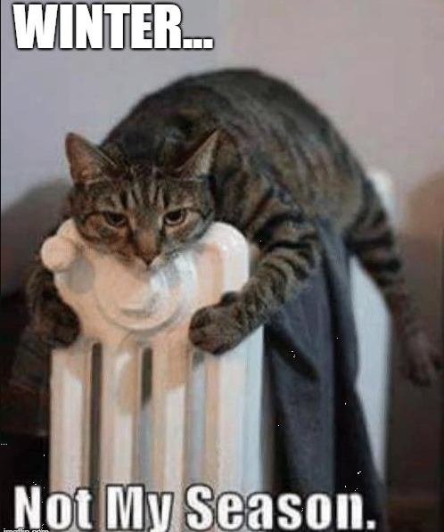 Marion Friedl #ForUkraine #Boostered #PostVac (@marillion13) on Twitter photo 