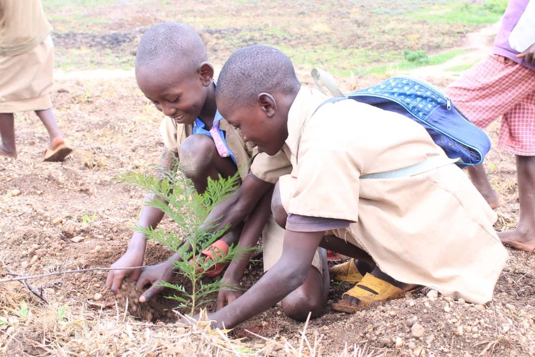 EmmanuelNiyoya's tweet image. We must #plant a tree for the benefit of another age and future generation.
#ClimateAction 

@vanessa_vash @klimaliste_nds @NABU_de @FFFWalsrode @Europeantrees @trilliontrees  @treeapp_uk @katharinasimons @climate_kate