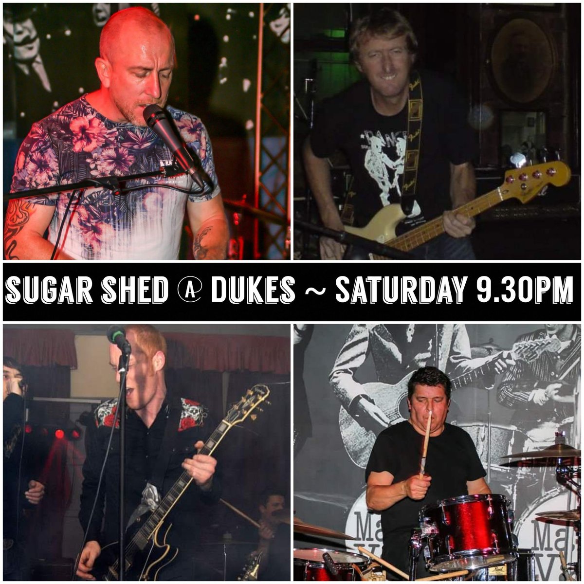 Sugar Shed tweet media