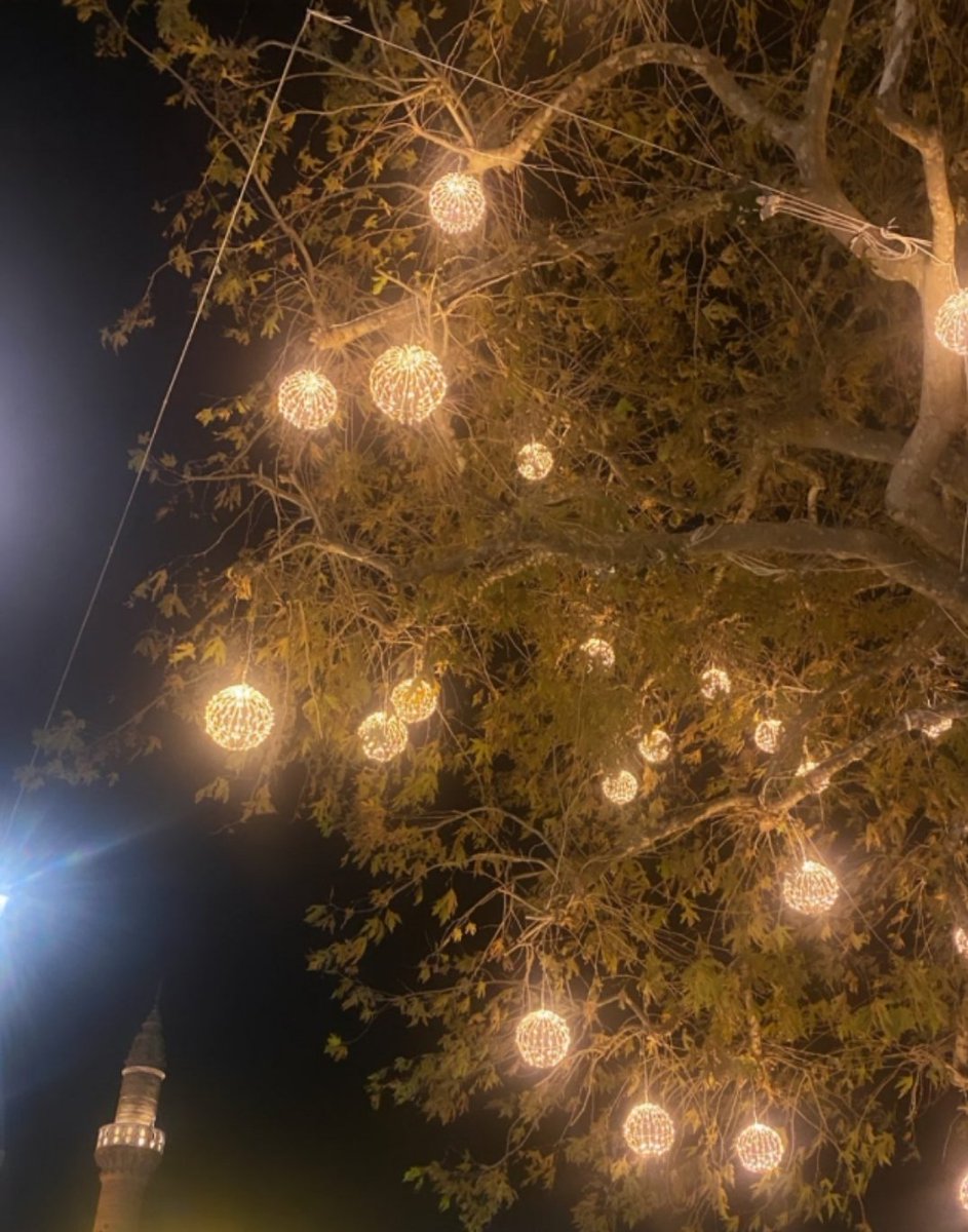 EleniMenni's tweet photo. @wynny1g It looks magical Lyn Wonderful. Happy holidays my good friend with health and love. Rejoice in your family ❤️❤️❤️ I am sending you my love ❤️ ❤️sent some pictures from Chios 😍😘😍😘😍😘😍😘 https://t.co/JImpBXp73p
