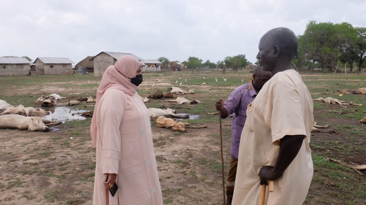 Lamu Youth Alliance tweet media