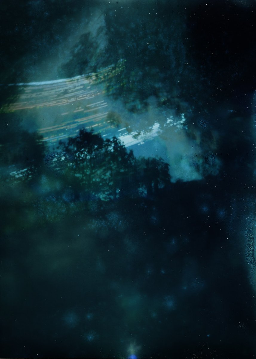 Dariusz Adamek tweet media