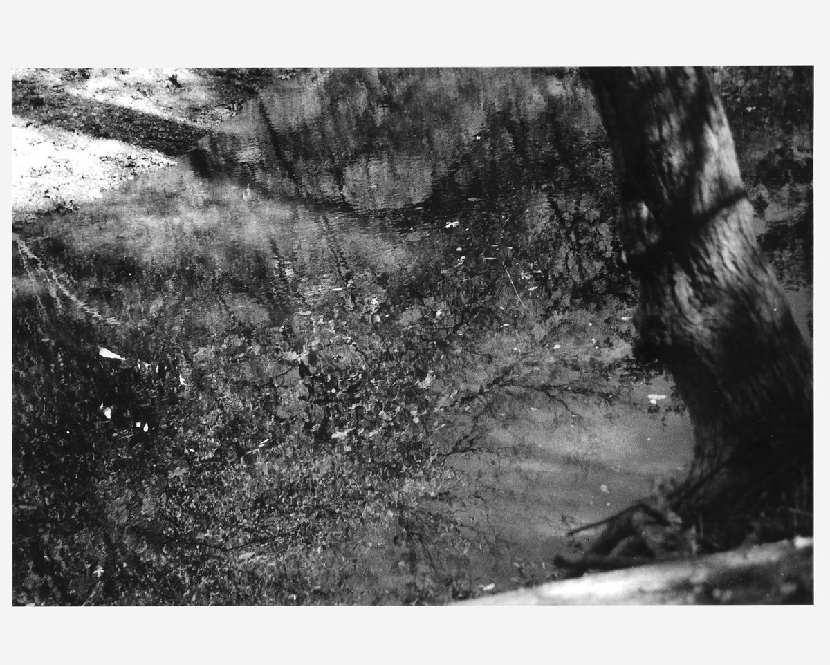 headempty228's tweet photo. 35 mm print scans because I hauled ass in the darkroom to get these done in two days lol https://t.co/LVvz1wGO2l