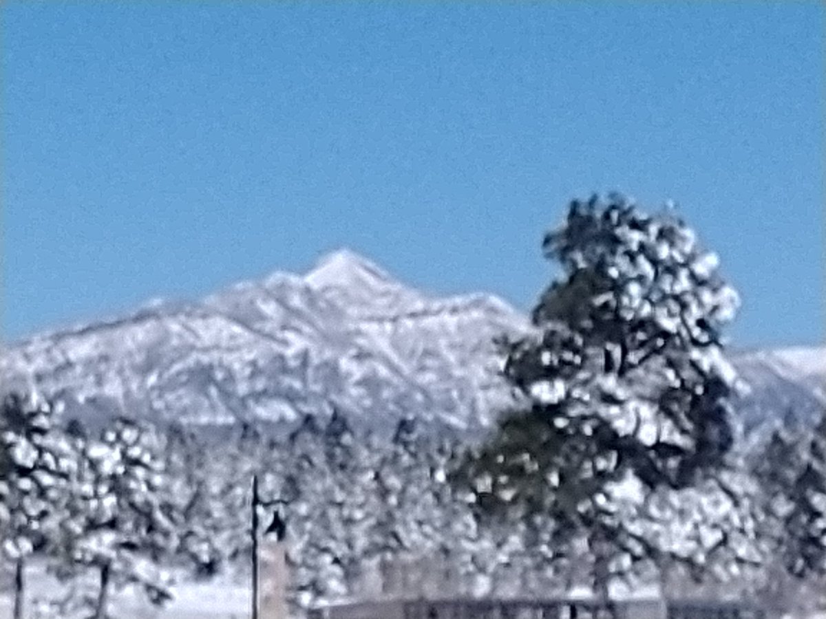 Pagosa Springs PD tweet media