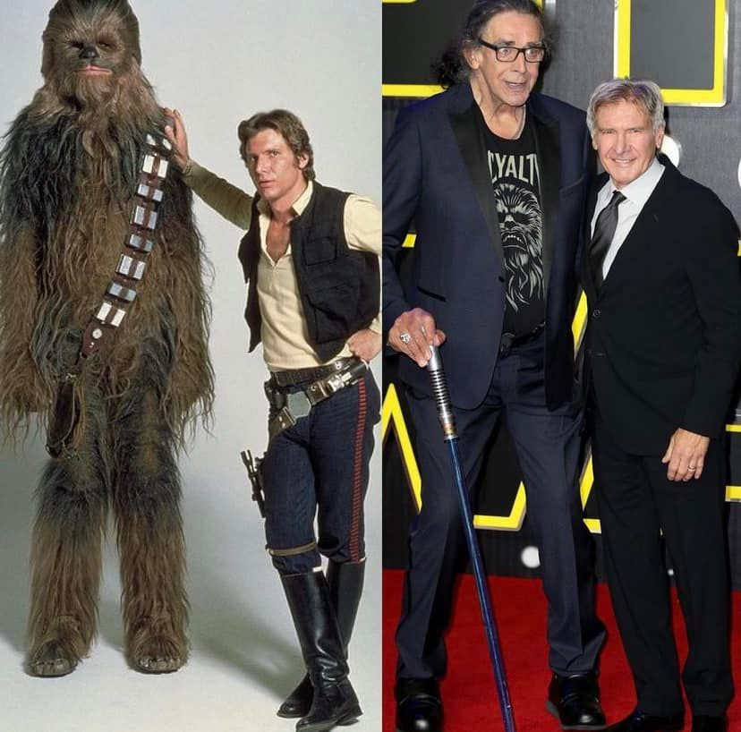 RT @edwereddie: Harrison Ford with the late Peter Mayhew https://t.co/zOYbDBgAy2