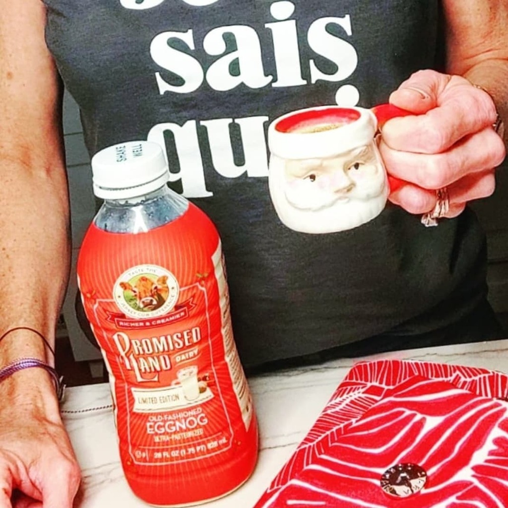 This eggnog. ♥️ The best store-bought I've ever had. How about my mini santa sipping mug, too? 🎅
.
.
.
#christmastime #christmas #christmastree #christmasdecor #merrychristmas #xmas #christmasiscoming #christmaslights #winter #christmasdecorations #s… instagr.am/p/CXWysbgv9jR/