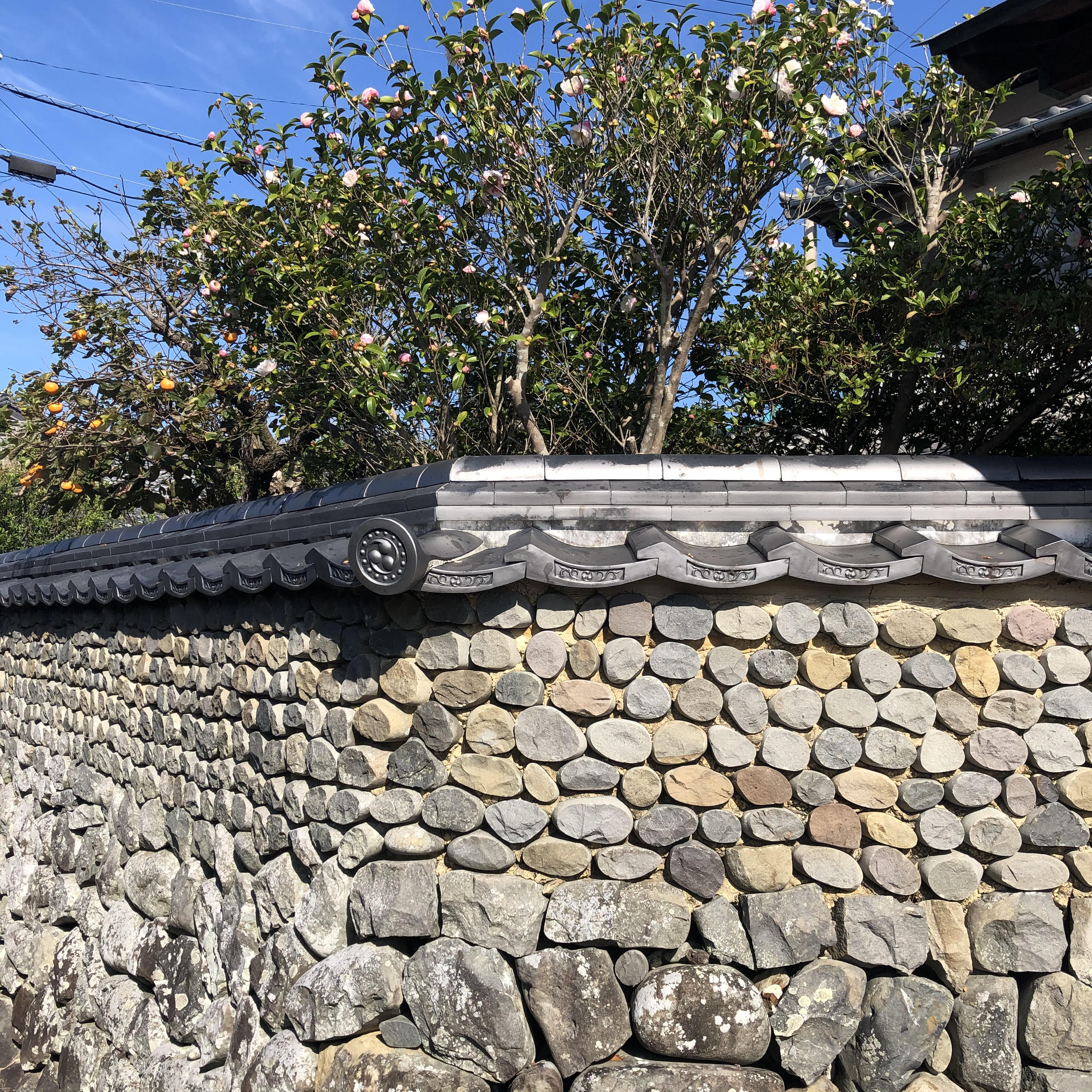 丸山靖博 Rbt0701 Twitter