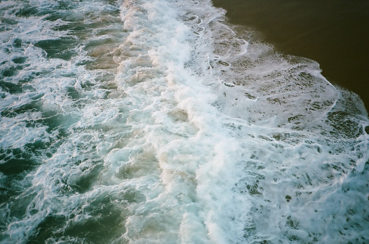 Chris Bartolucci tweet media