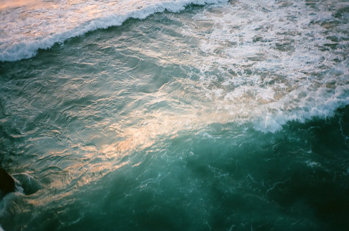 Chris Bartolucci tweet media