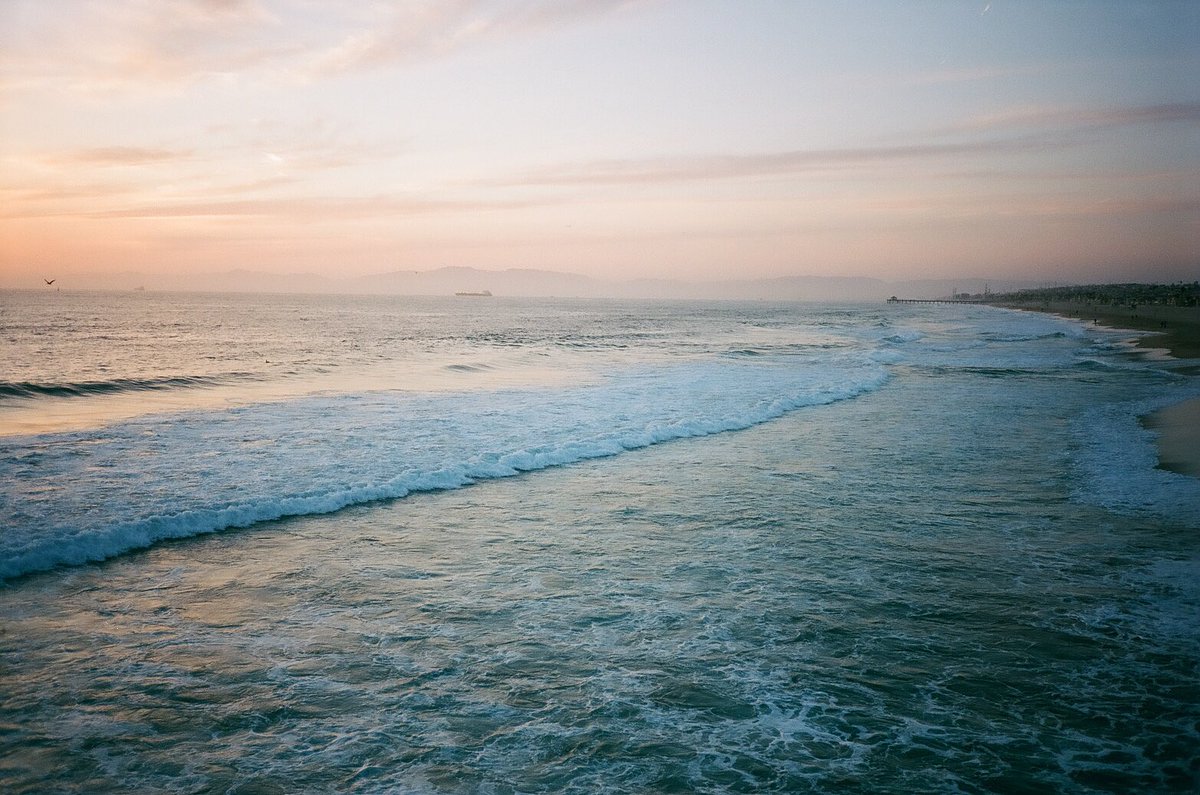 Chris Bartolucci tweet media