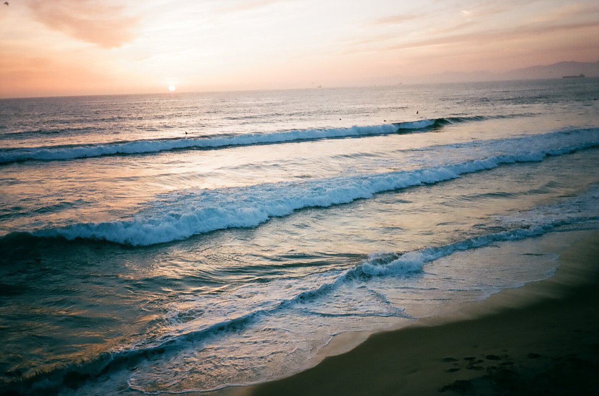 Chris Bartolucci tweet media