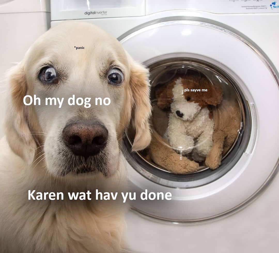 👇👇Karen did WHAT?👇👇

(Doggosbeingdoggos &Gracewunder IG)