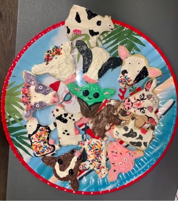 Cow cookie decorating from the lab holiday party: some are works of art, some were done by a pink and sprinkles-loving 5-year-old, and one went off script.