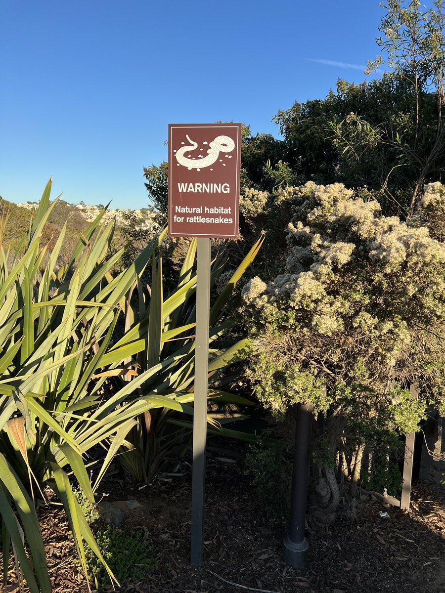 In California, wondering how to weigh up the relative risks from local signage - golf balls, snakes or COVID?