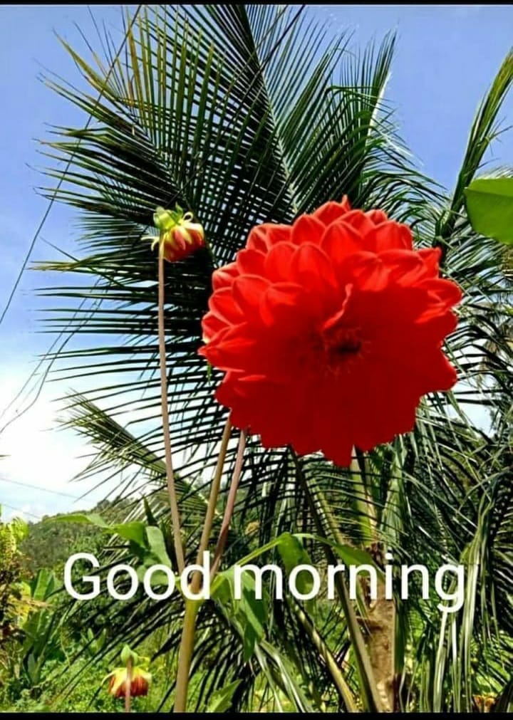 Kushwaha__Amit's tweet photo. @PihuTyagi_ https://t.co/ZHGh1eynqw
