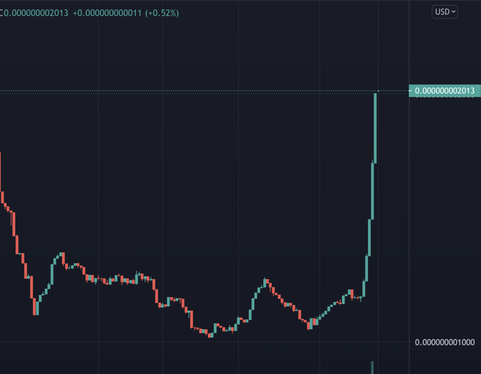 Monkey Rocket tweet media