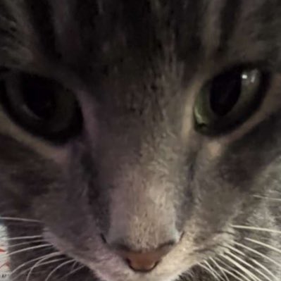 mollysmells's tweet photo. #NewProfilePic https://t.co/saC3tqSLao