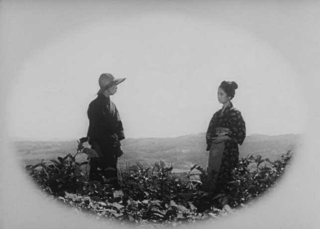 野菊の如き君なりき Twitter Search Twitter