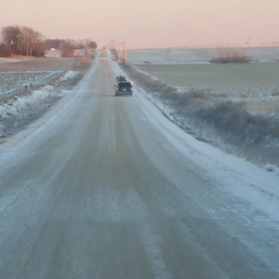newdaydairy's tweet image. Perhaps the second-best way to spread Christmas cheer is to make a scrubby cedar from the back pasture your Christmas tree. (And definitely haul it up with the minivan!)
#CharlieBrownTree 
#ClarkGriswold 
Photo:jj