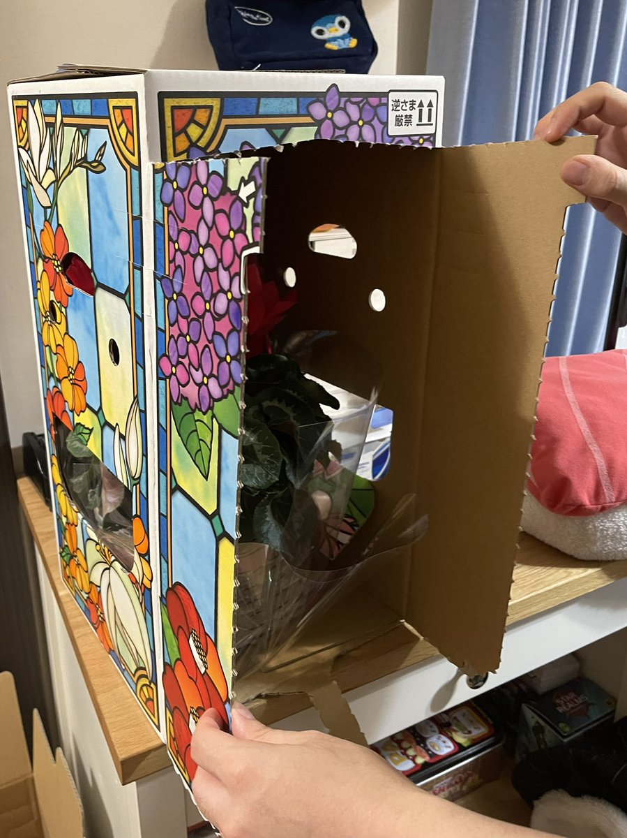 Renee Man tweet media