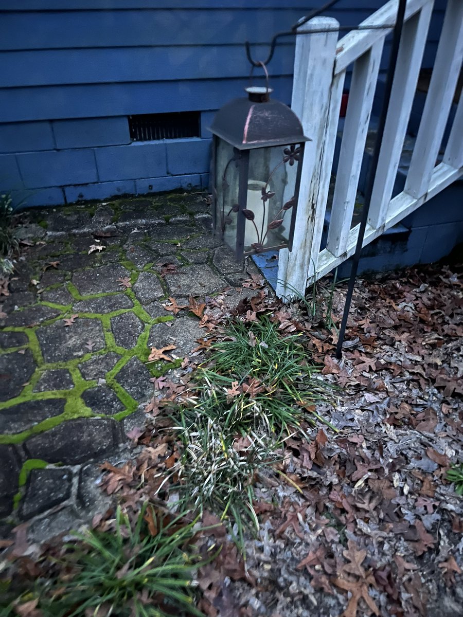 trickatree's tweet photo. “home base” temporally set https://t.co/NXFGc671Hd