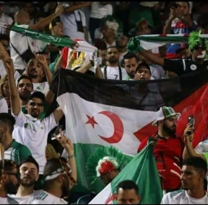 SemmaTalap's tweet photo. ألف مليون ترليون مبروك للمنتخب الجزائري الشقيق https://t.co/83jTwClo9m