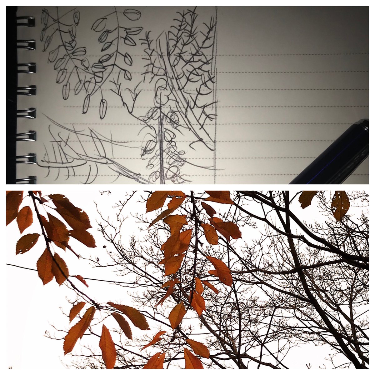 #sketch #art #artist #photographer