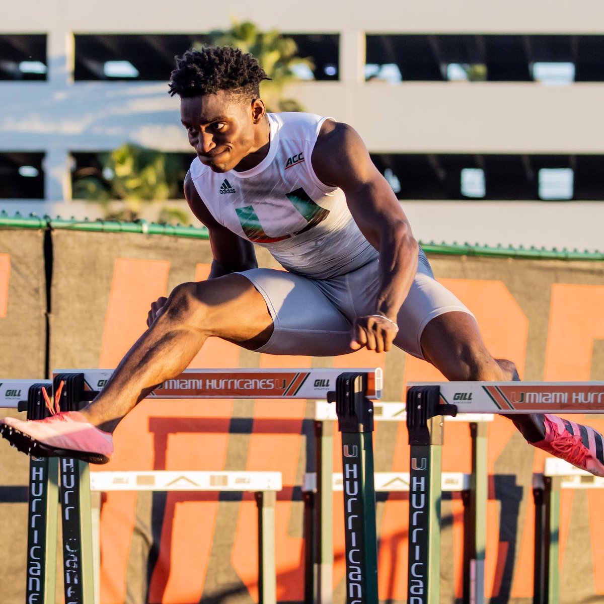 CanesTrack's tweet photo. Love us some outdoor track and field action in December ☀️ https://t.co/eKaqW9IvZm