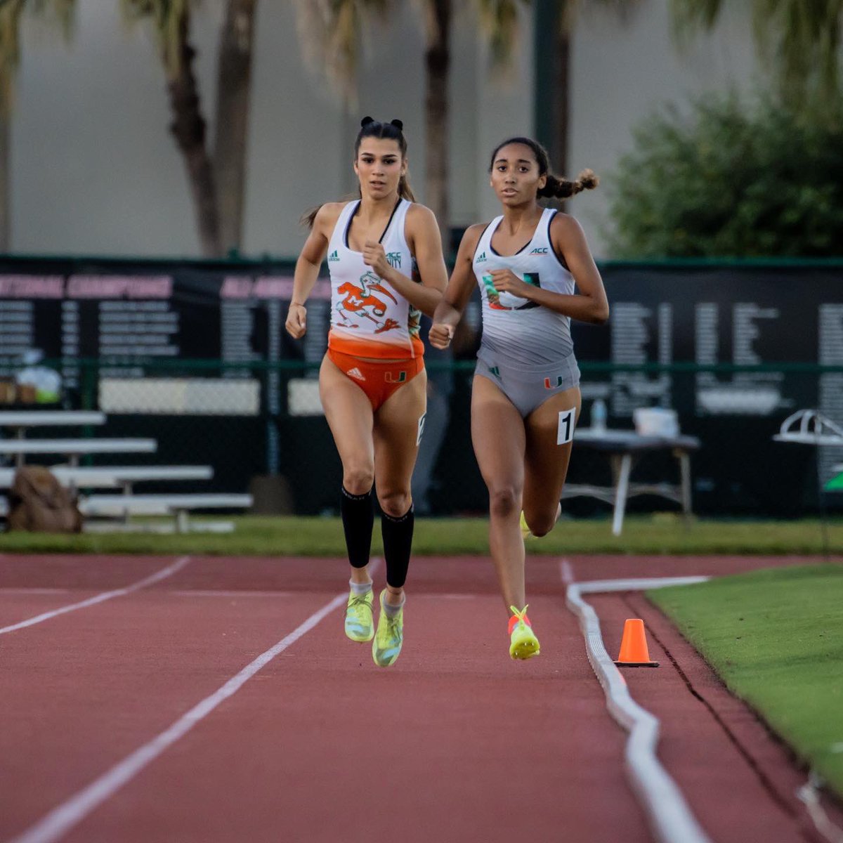 CanesTrack's tweet photo. Love us some outdoor track and field action in December ☀️ https://t.co/eKaqW9IvZm