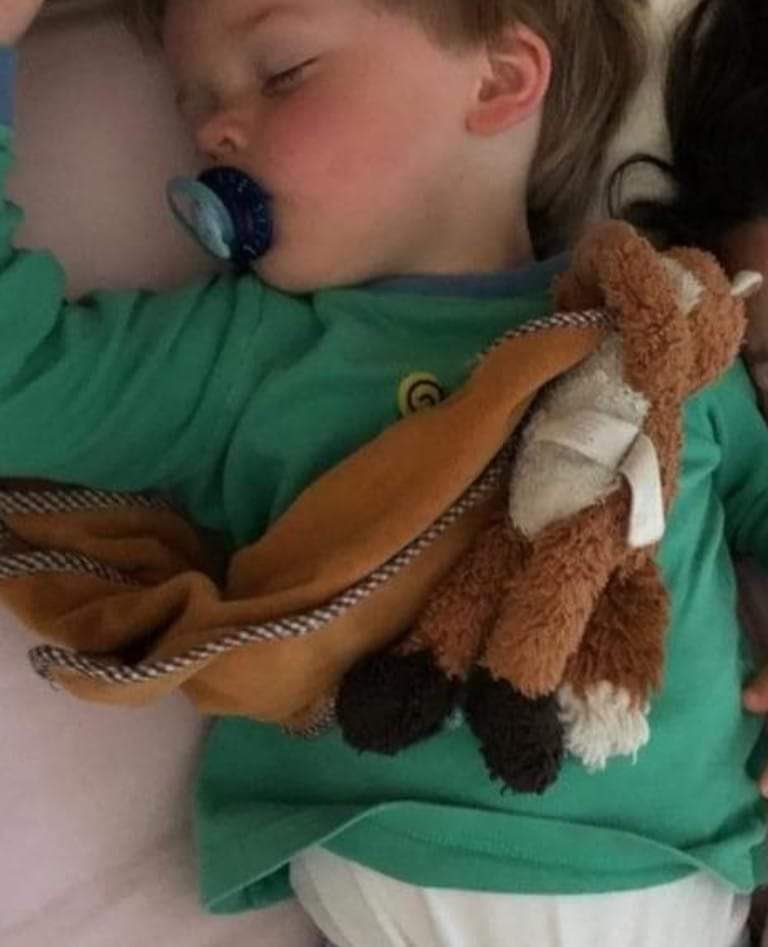 markdh543's tweet photo. @GWRHelp I’ve #lost my sons favourite #fox #teddy and it might have been on one of your #trains (Friday at 09:14 from #Ashchurch to #gloucester ) or at one of the stations. Can you please #help ?? https://t.co/KZpsDOhRNp