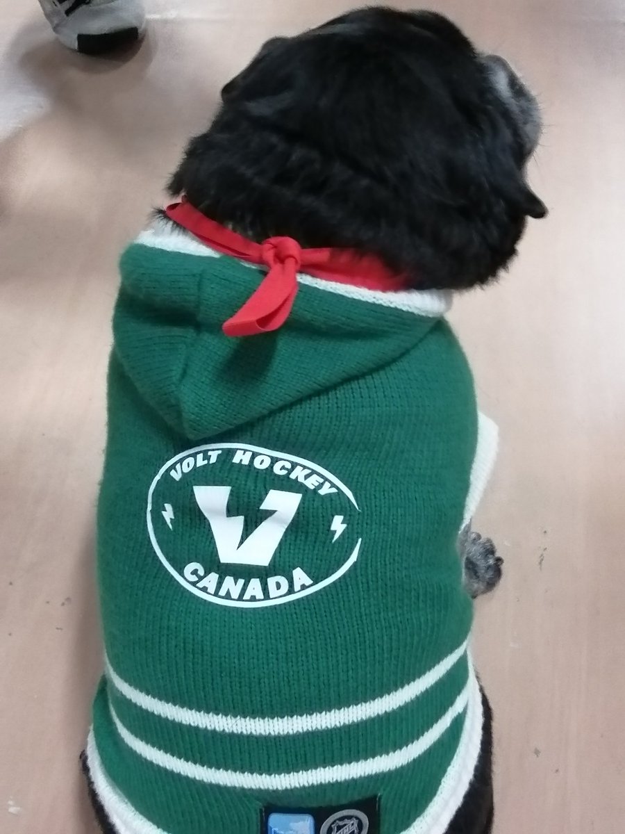 Mamajojodancer's tweet photo. Thank you @Variety_Ontario for organizing the 1st Volt hockey tournament!  And Gus, the team mascot! https://t.co/QmqVF7D1nv