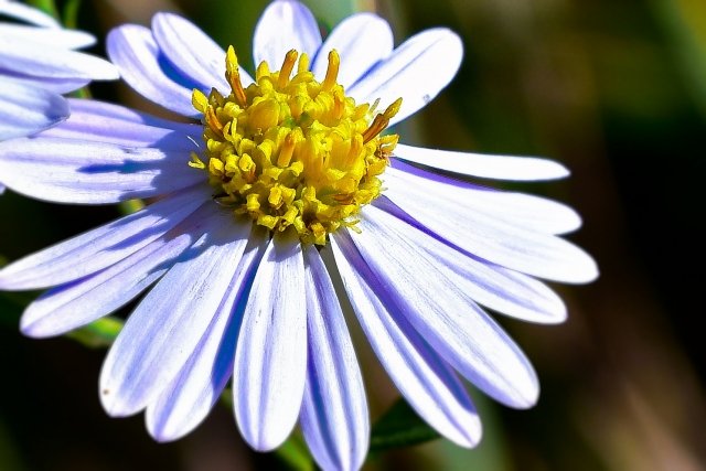 追想の愛 Twitter Search Twitter