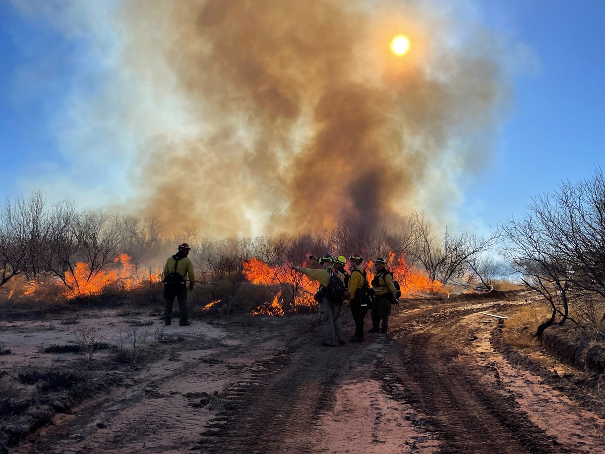 Incident Information - Texas A&M Forest Service tweet media