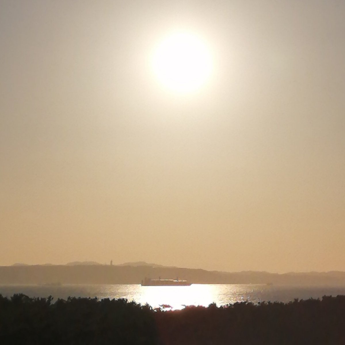 #おはよう日本
#写真好きな人と繫がりたい
#写真で伝える私の世界
#空ネット

東京湾
　　浦賀水道を行き交う
　　　　　　　　貨物船
　　　　　…………………………⛴