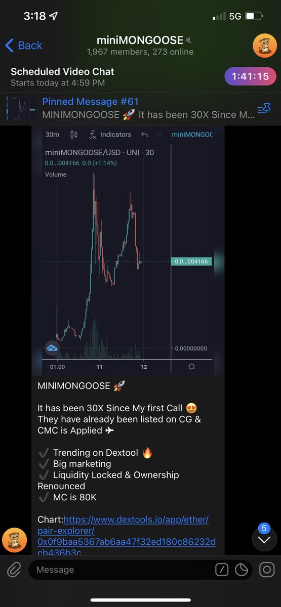 Danal11's tweet photo. @1goonrich #miniMONGOOSE up next πππ https://t.co/MidX6smncu