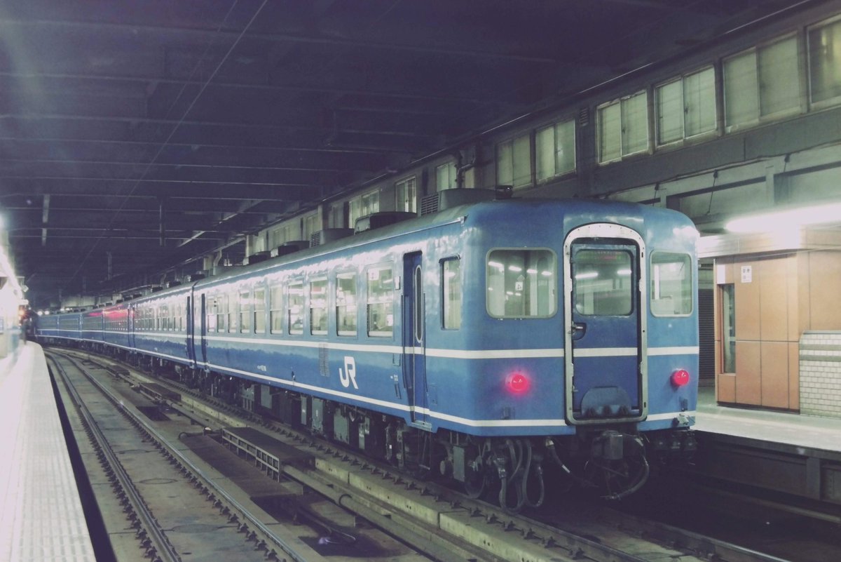 確かJR東日本には青函トンネル通過対応の12系客車が何編成かあって