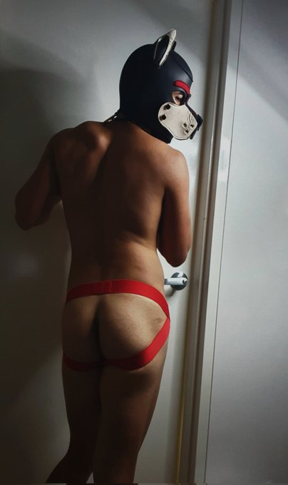 I think this puppy woke up a bit needy ???? https://t.co/hAmXrPELyb