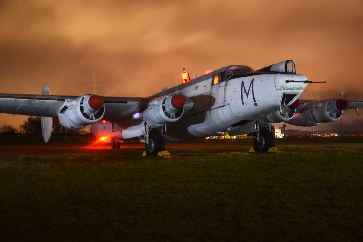 Daniel Scholefield tweet media