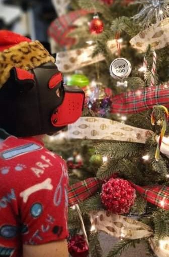 2 pic. Me vs da tree... ?? 
#gaypup #gaychristmas #gay #humanpet #petplay #puppyplaycommunity #puppyplay